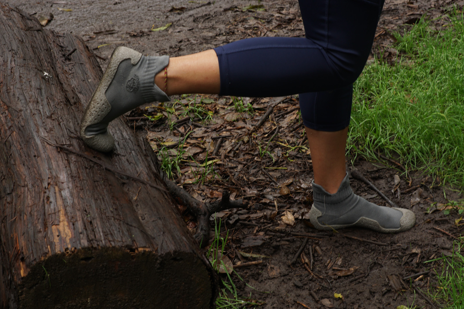 Zensteps Gris Zensteps Gris